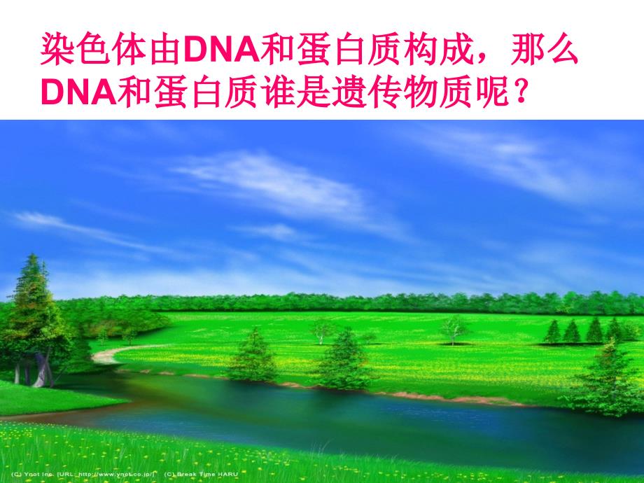 DNA是主要的遗传物质(枝江一中)_第4页