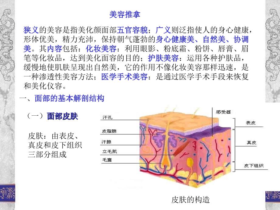 美容推拿减肥推拿5ppt课件_第1页