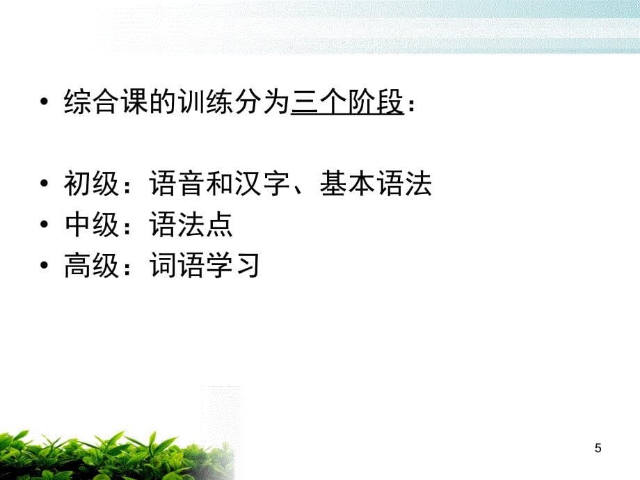 汉语综合课教学ppt课件_第5页