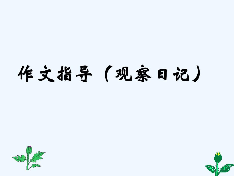 语文人教版四年级上册习作观察日记_第1页