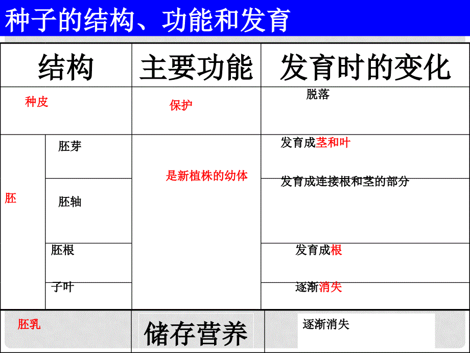 七年级生物上册 3.2.1 种子的萌发课件 （新版）新人教版_第4页