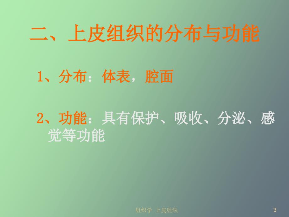 组织学与胚胎学上皮组织_第3页