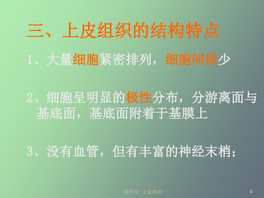 组织学与胚胎学上皮组织_第4页