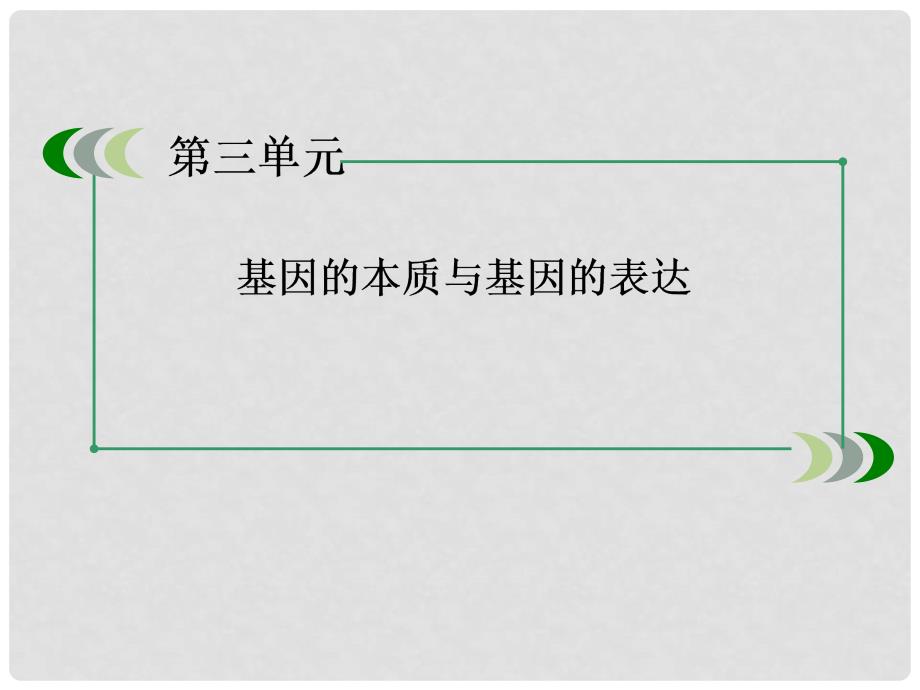 高考生物一轮总复习（考点探究+基础回扣+考点突破+解题技巧警示）232 DAN的分子结构、复制和基因的本质课件 新人教版必修2_第3页