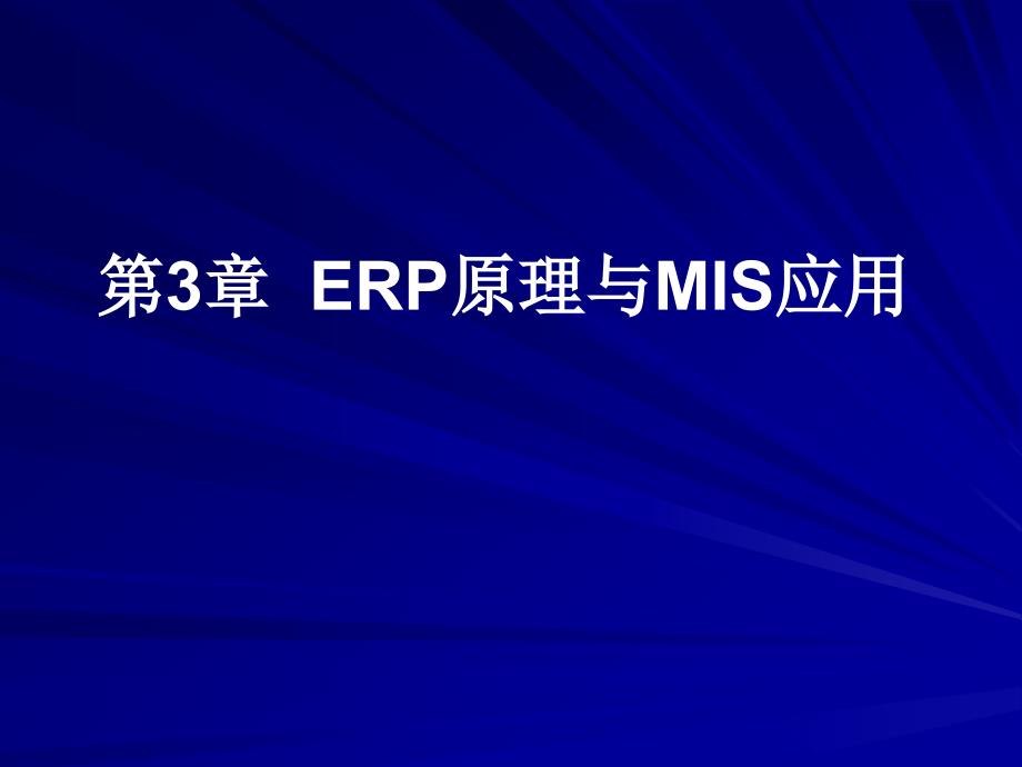 第ERP原理与MIS应用_第1页