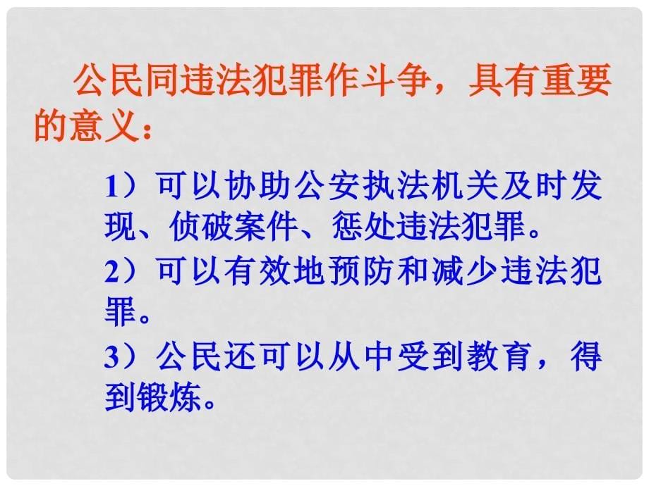 湖南省株洲市天元区天元中学七年级政治下册 做守护法的好公民教学课件 湘教版_第5页