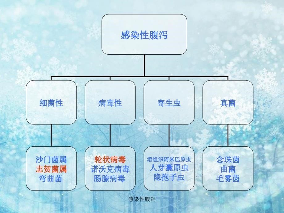 感染性腹泻课件_第5页