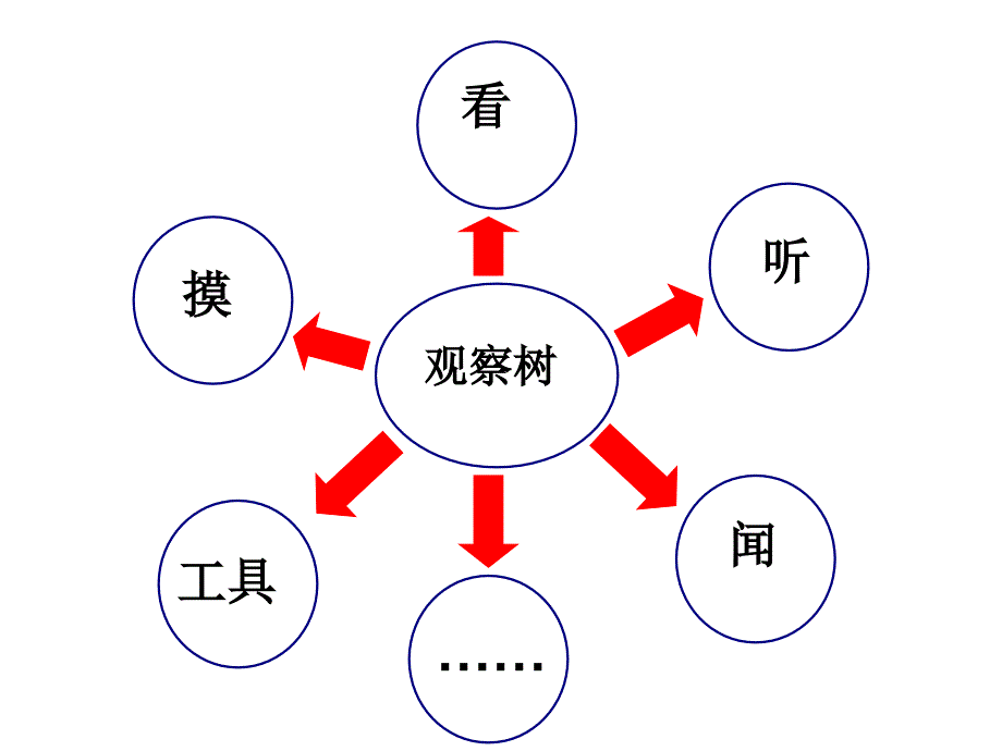 教科版科学三上校园的树PPT课件4_第3页