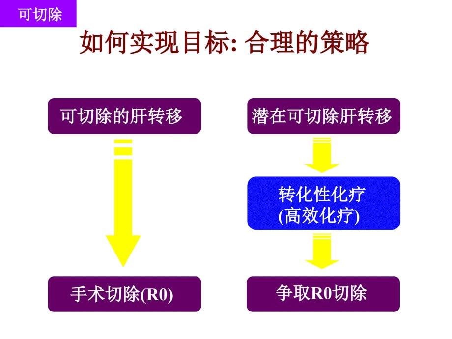 晚期大肠癌转化治疗_第5页