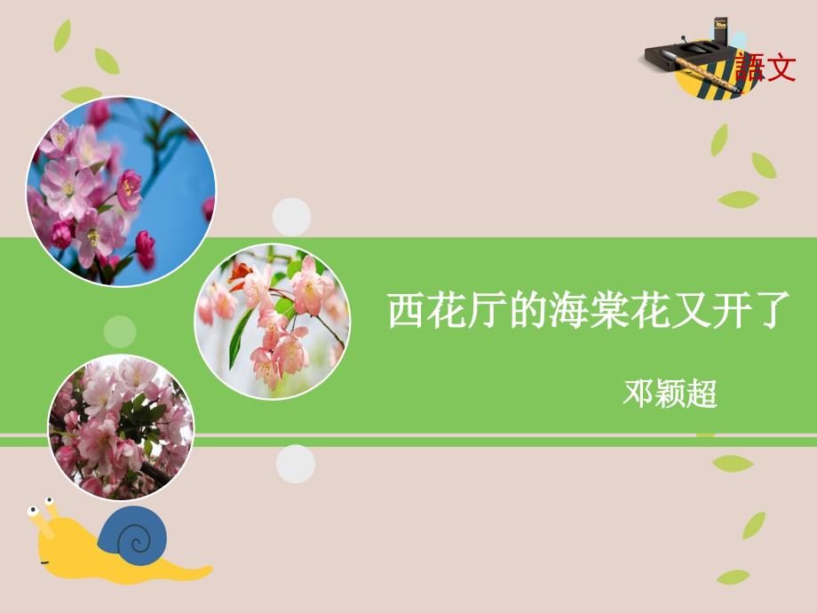 语文版初中语文九年级上册第3课西花厅的海棠花又开了课件1_第1页