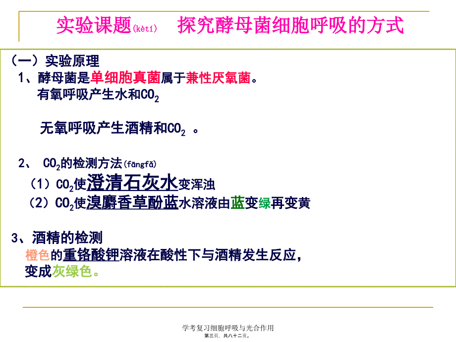 学考复习细胞呼吸与光合作用课件_第3页