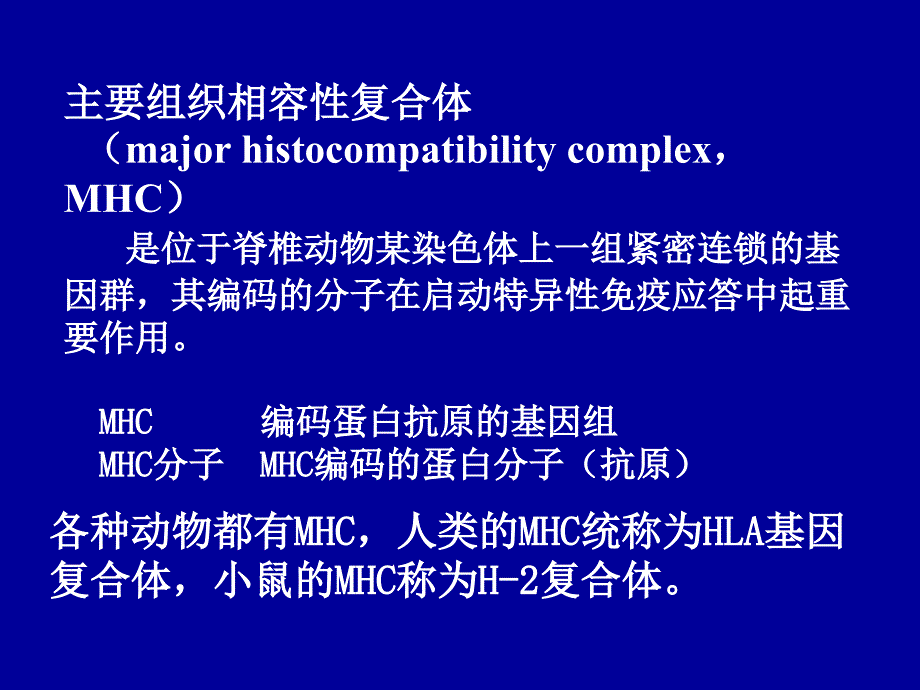 《MHC及其编码分子》PPT课件.ppt_第4页