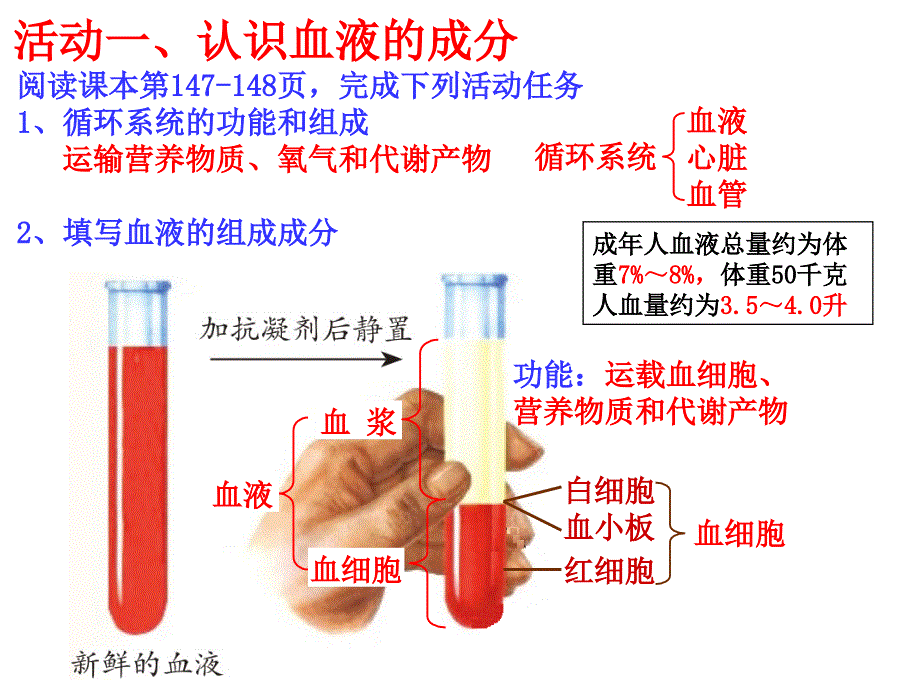 九上431体内物质的运输一_第2页