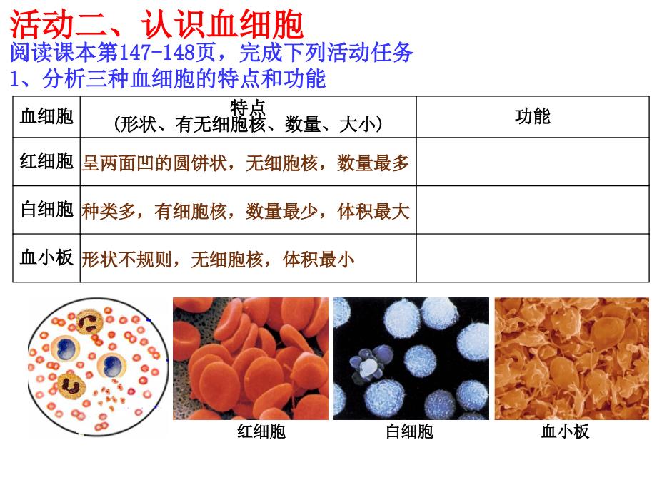 九上431体内物质的运输一_第4页