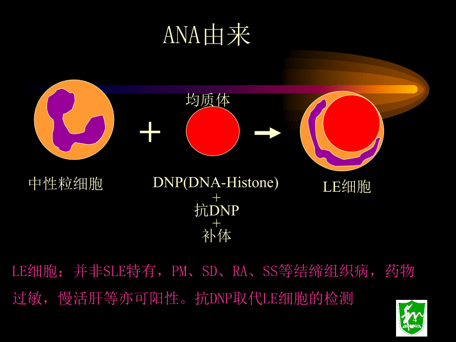 唐福林抗核抗体_第4页