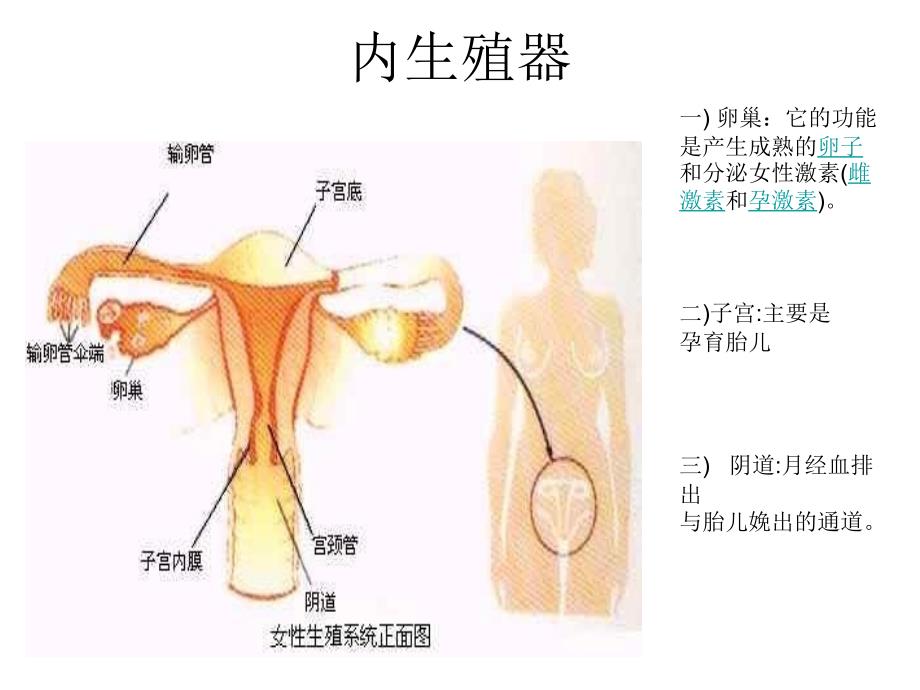 九年级生物青期卫生_第3页