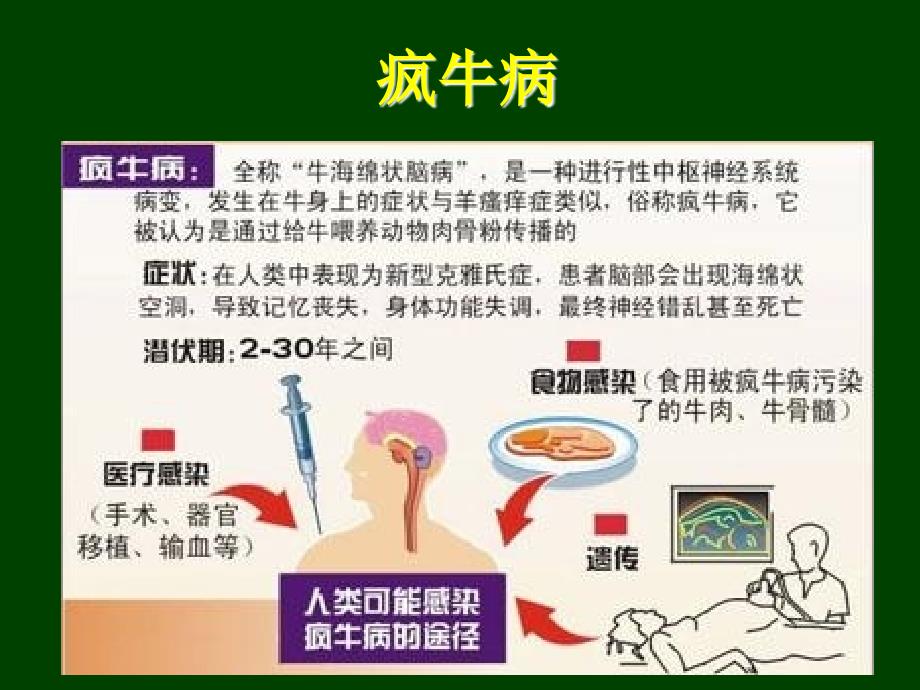 生物安全与生物入侵_第2页