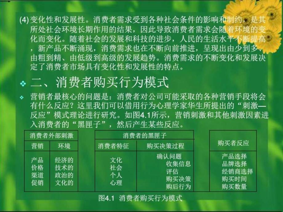 现代市场营销学第四章消费者购买行为分析_第3页