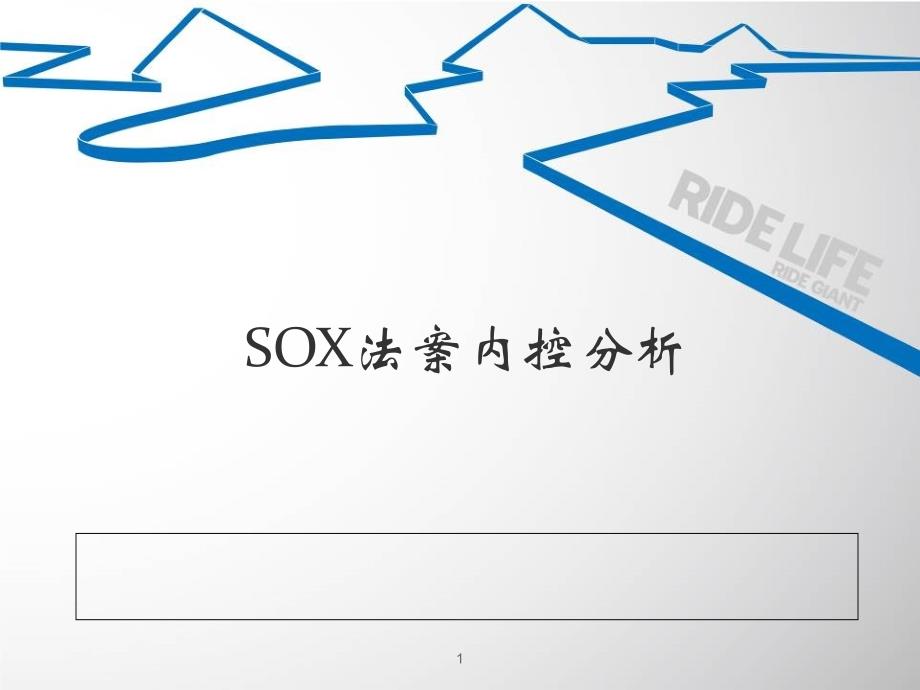 SOX法案内控分析_第1页