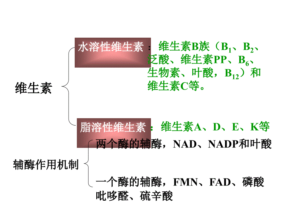 六维生素和辅酶_第4页