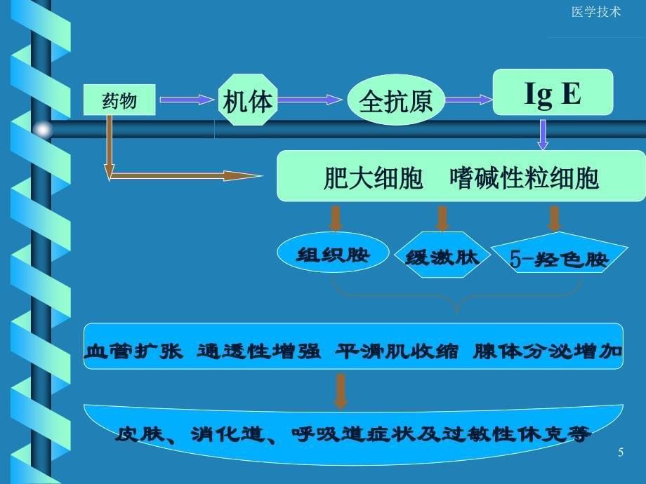 过敏性休克医学技术_第5页