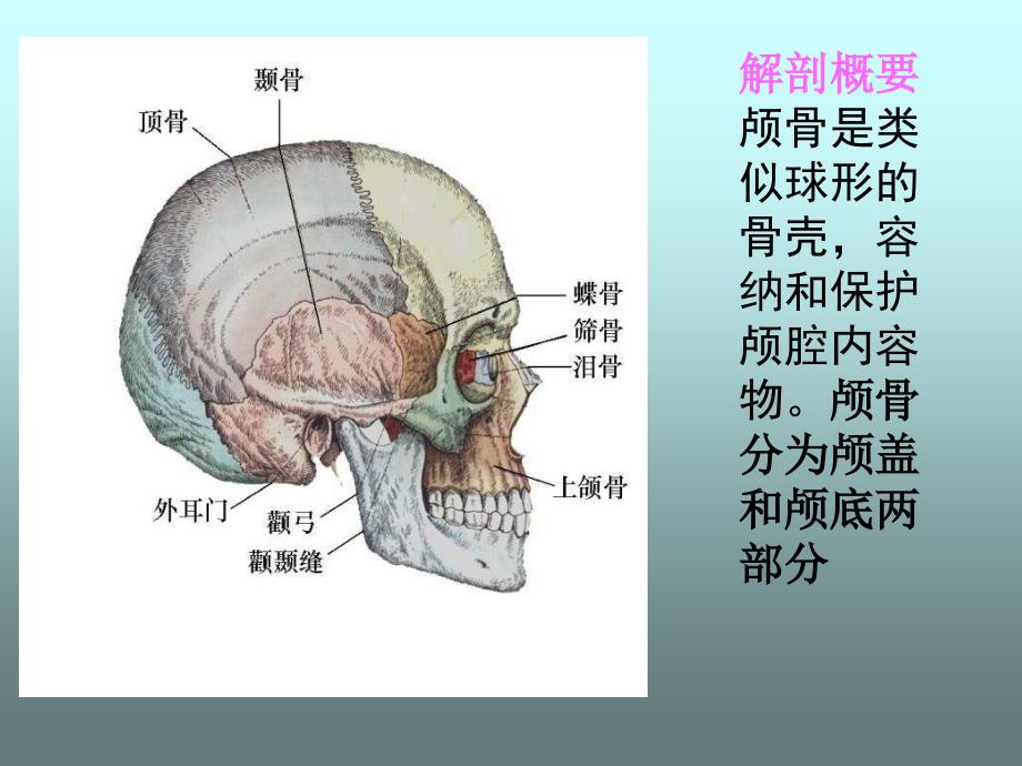 颅骨骨折的护理PPT课件_第4页