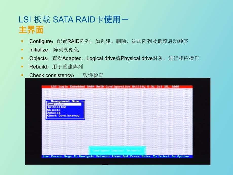 LSI板载SATAIIRAID卡使用_第5页