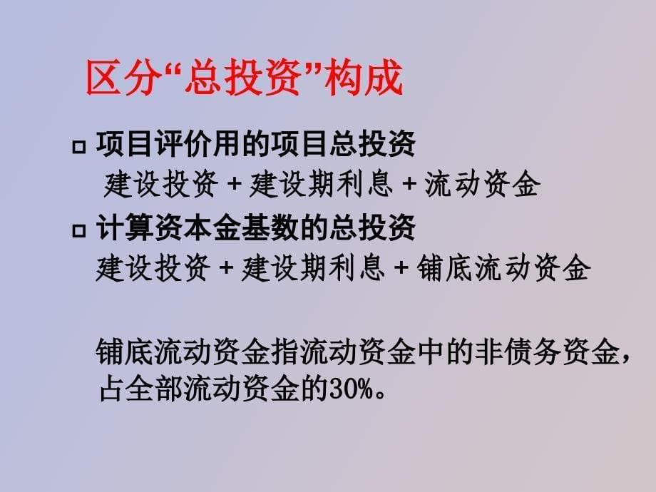 投资估算与资金筹措_第5页