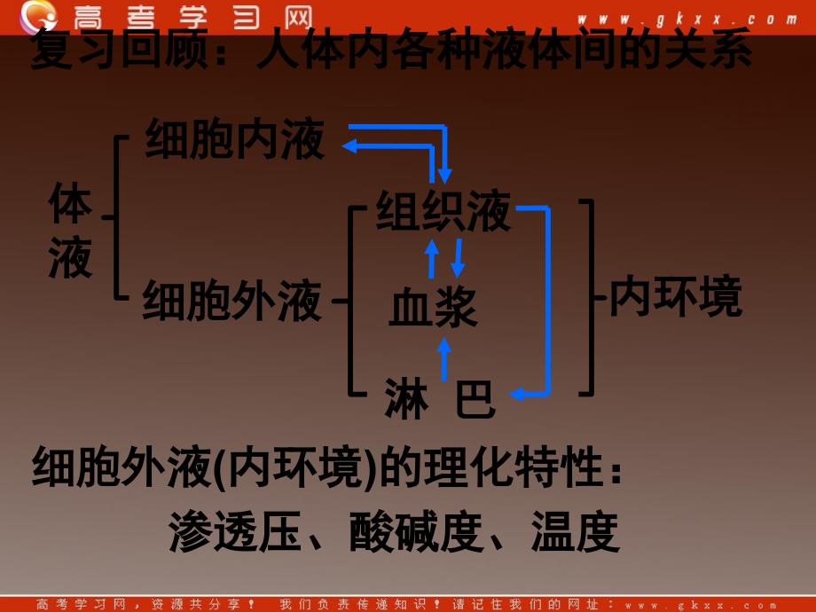 高二生物备课资料：《内环境稳态的重要性》课件新人教版必修3_第3页