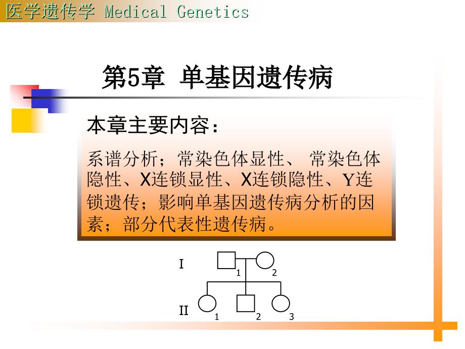 基因遗传课件_第1页