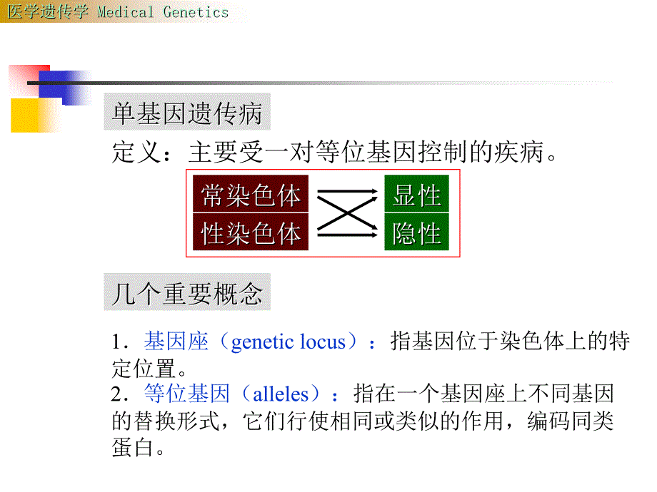 基因遗传课件_第2页