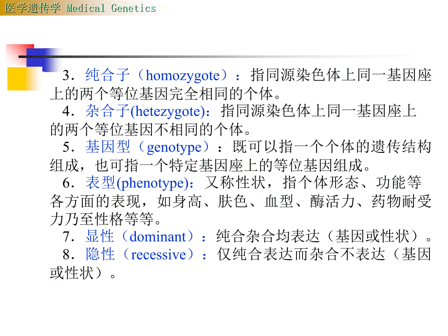 基因遗传课件_第3页