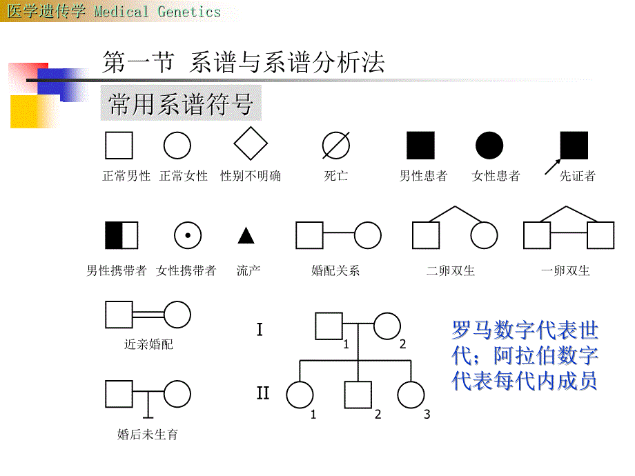 基因遗传课件_第4页