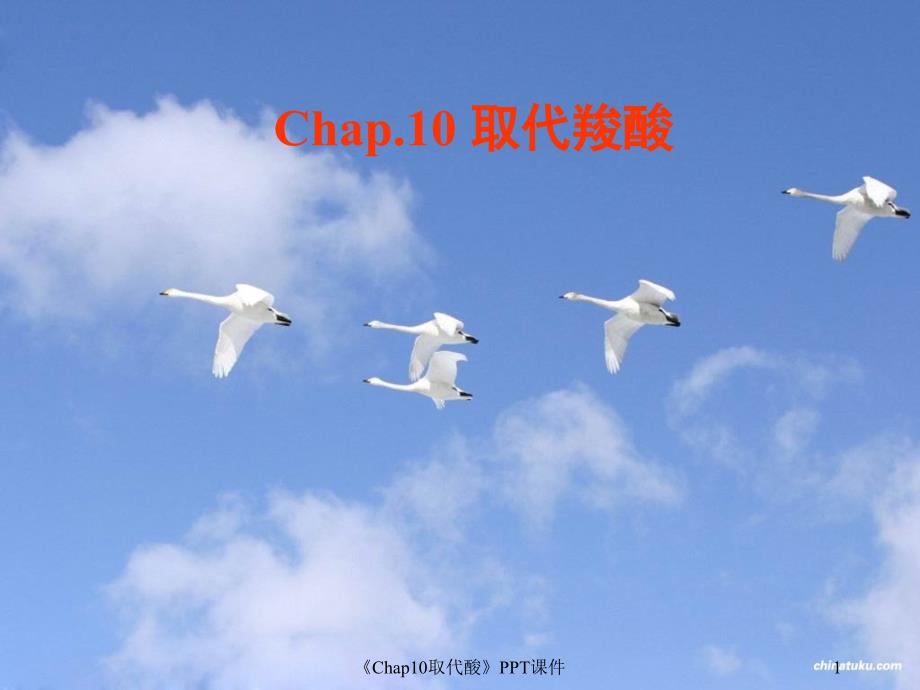 Chap10取代酸课件_第1页