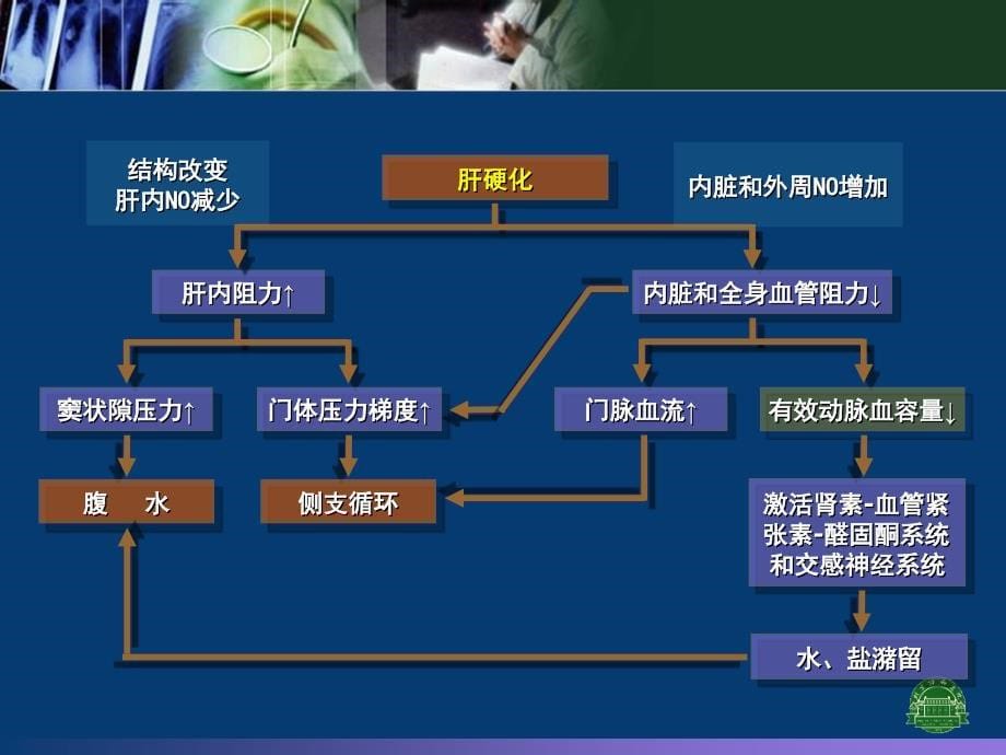 肝硬化的治疗 ppt课件_第5页