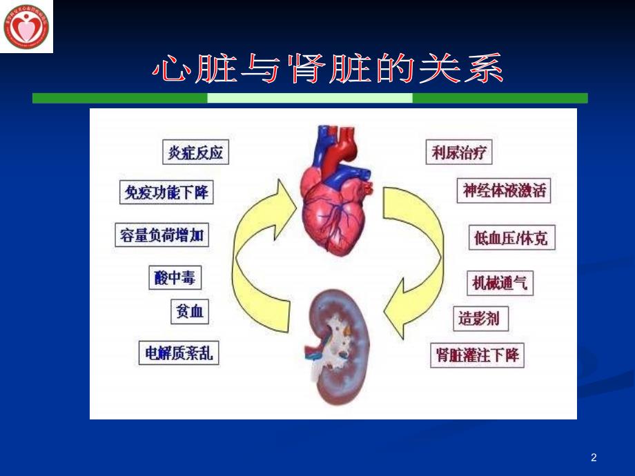 北华大学附属医院心脏中心刘同库_第2页