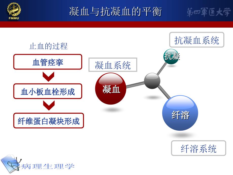 凝血和抗凝课件_第2页