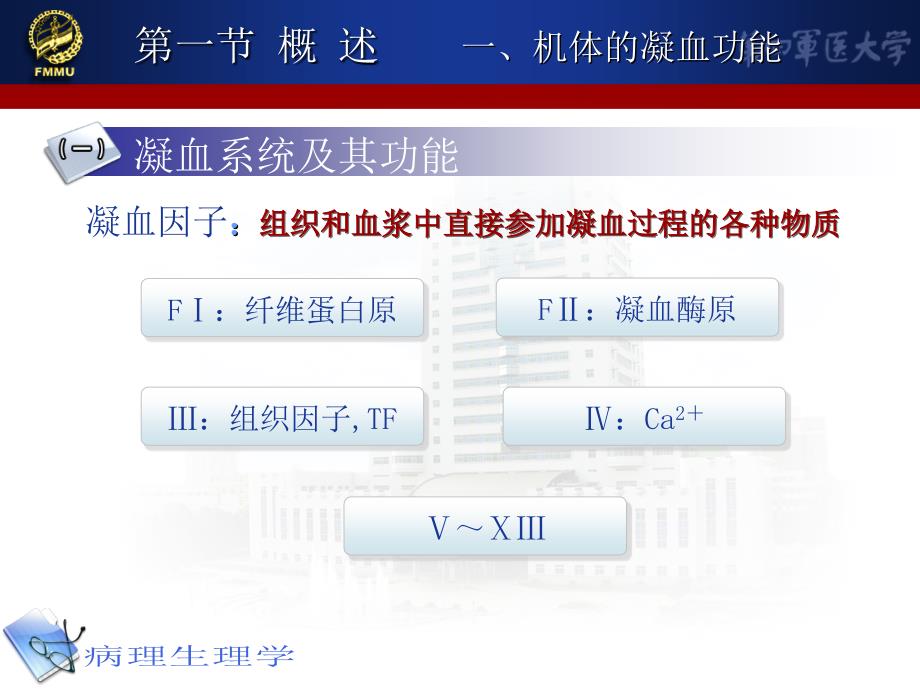 凝血和抗凝课件_第4页