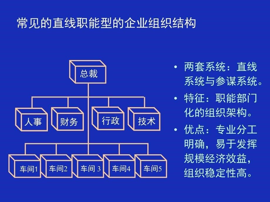 《项目组织与管理》_第5页