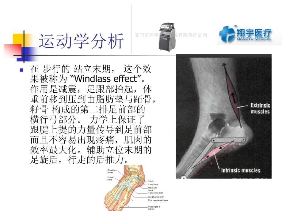 体外冲击治疗足底筋膜炎临床疗效分析_第5页