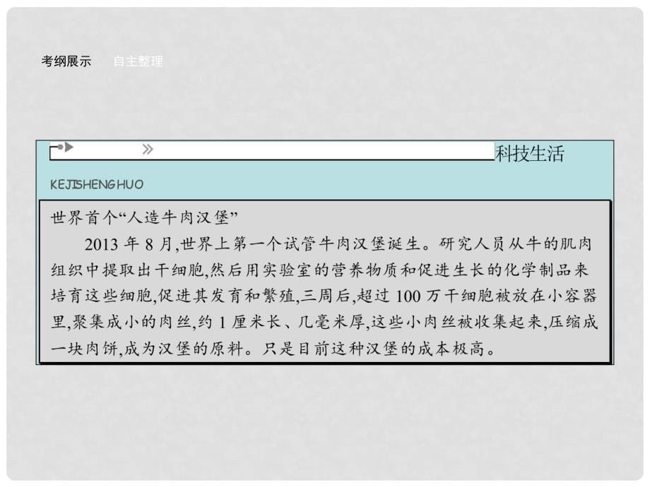 高考生物一轮复习 4.2 细胞的分化、衰老、凋亡和癌变课件 新人教版必修1_第5页