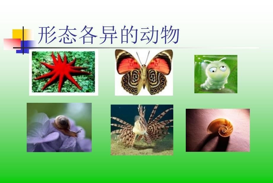 七年级数学41多姿多彩的图形课件人教版_第5页