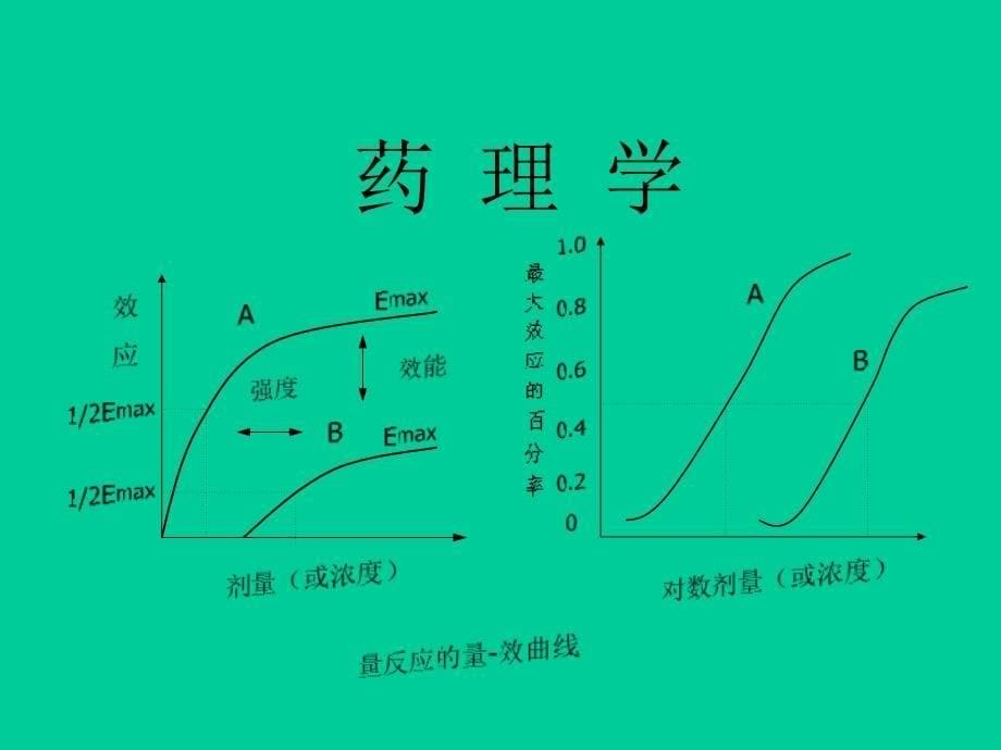 主讲教师杨世杰教授课件_第5页