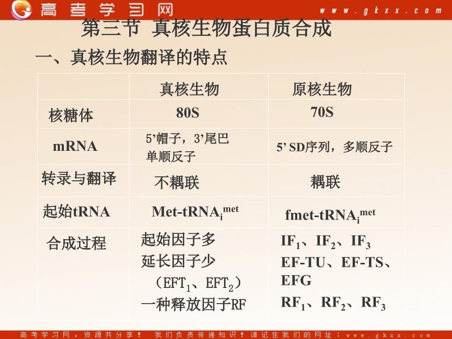 高中生物《蛋白质的合成与运输》课件4（41张PPT）（中图版必修1）_第4页