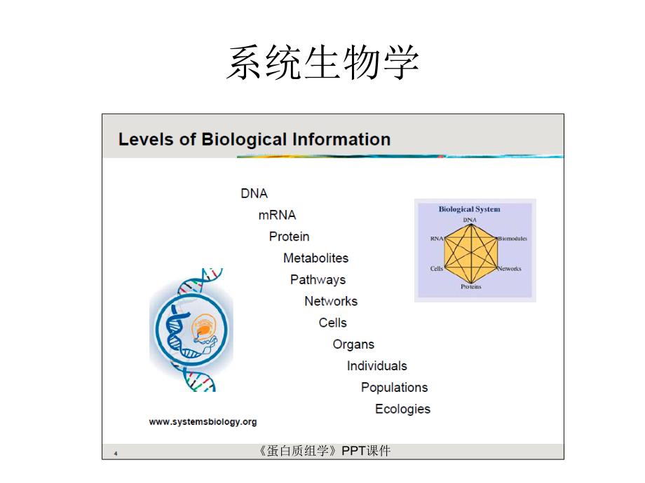 蛋白质组学课件_第3页