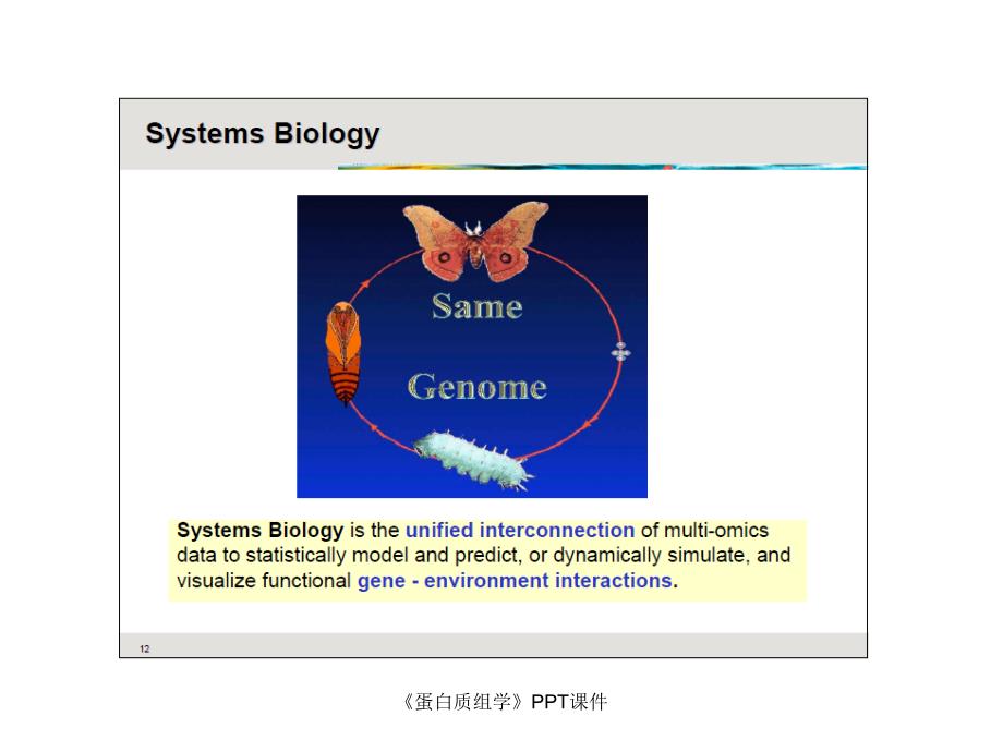 蛋白质组学课件_第4页