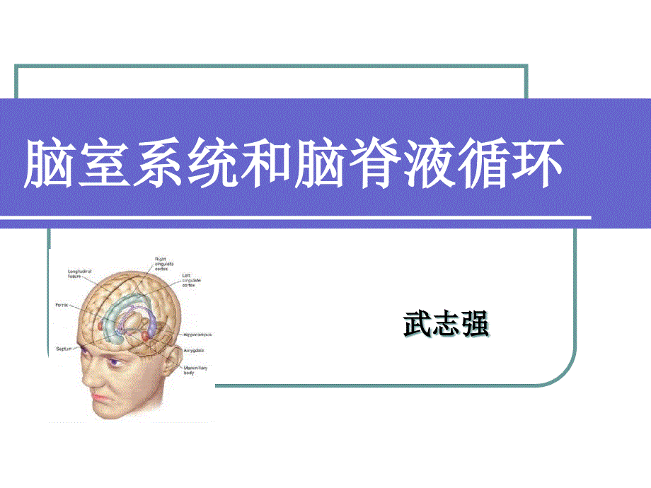 脑室系统及脑脊液循环ppt课件_第1页