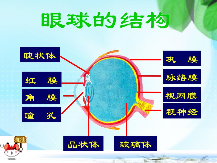 眼睛与视觉二_第2页