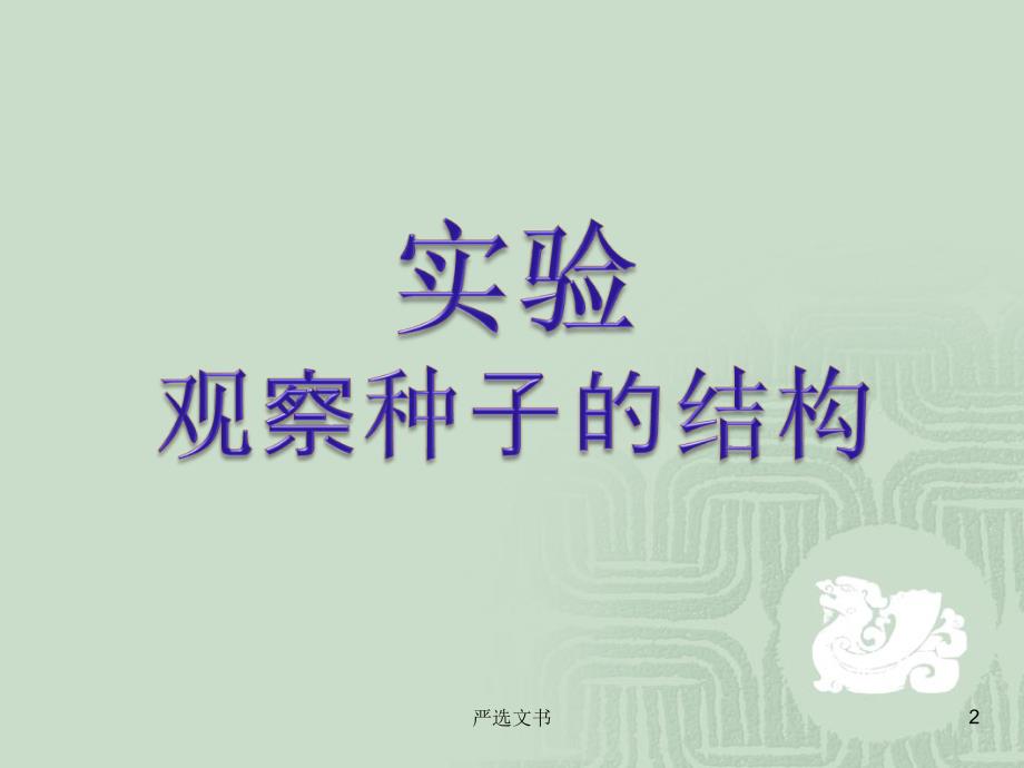 观察种子的结构(实验)[优质分析]_第2页