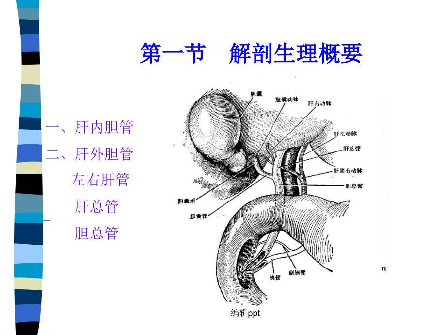 胆道疾病的护理_第3页